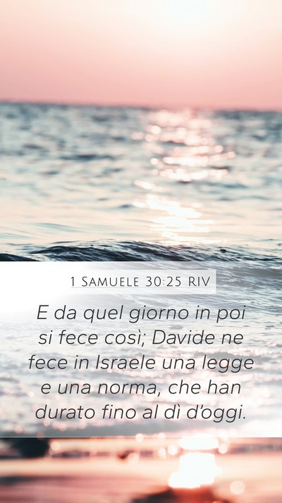1 Samuele 30:25 RIV Bible Verse Image