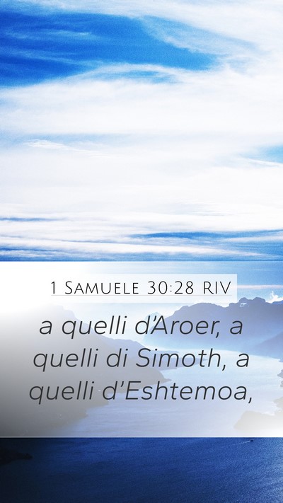 1 Samuele 30:28 RIV Bible Verse Image