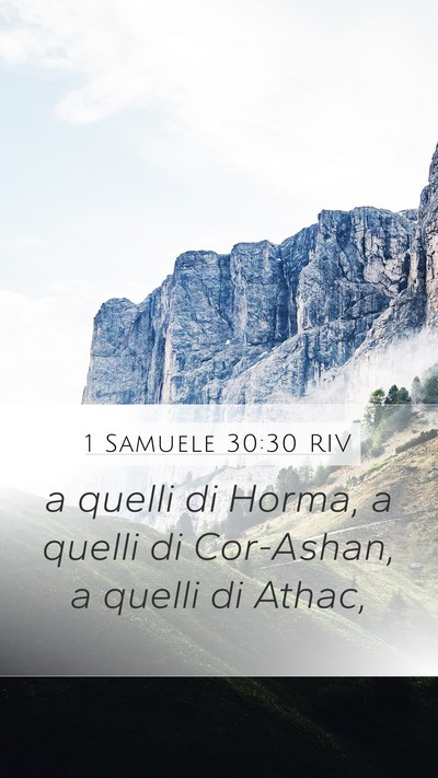 1 Samuele 30:30 RIV Bible Verse Image