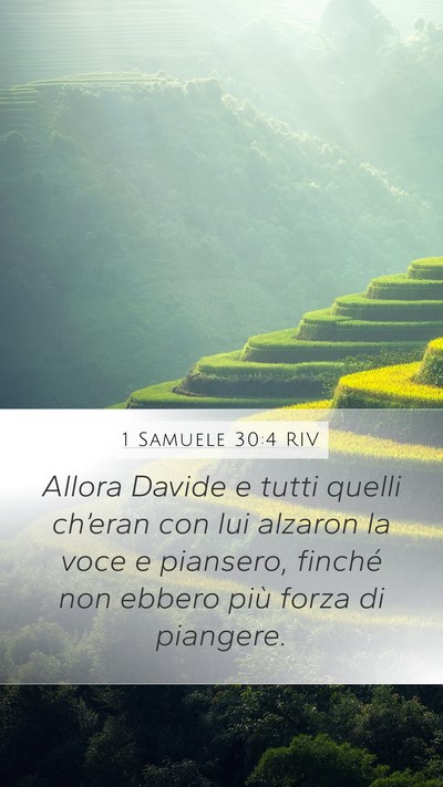 1 Samuele 30:4 RIV Bible Verse Image