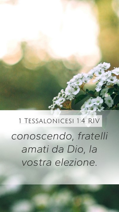 1 Tessalonicesi 1:4 RIV Bible Verse Image