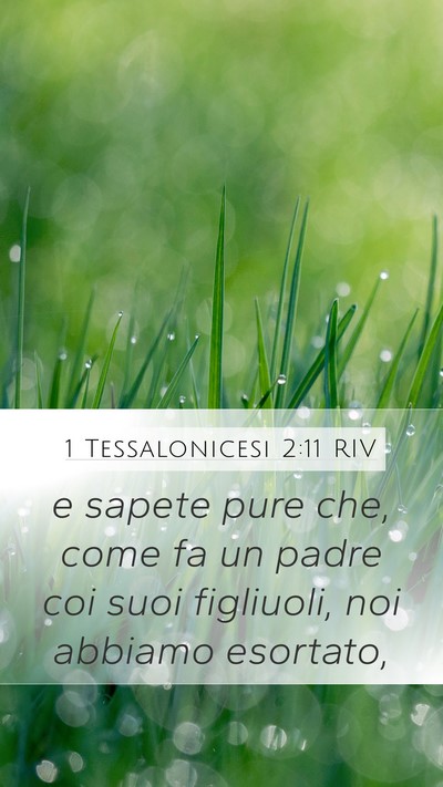 1 Tessalonicesi 2:11 RIV Bible Verse Image