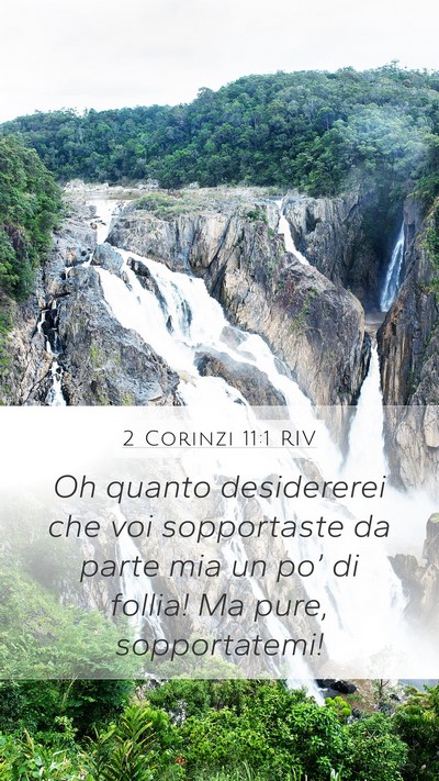 2 Corinzi 11:1 RIV Bible Verse Image