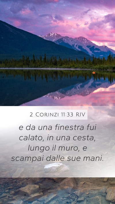 2 Corinzi 11:33 RIV Bible Verse Image