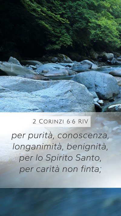 2 Corinzi 6:6 RIV Bible Verse Image