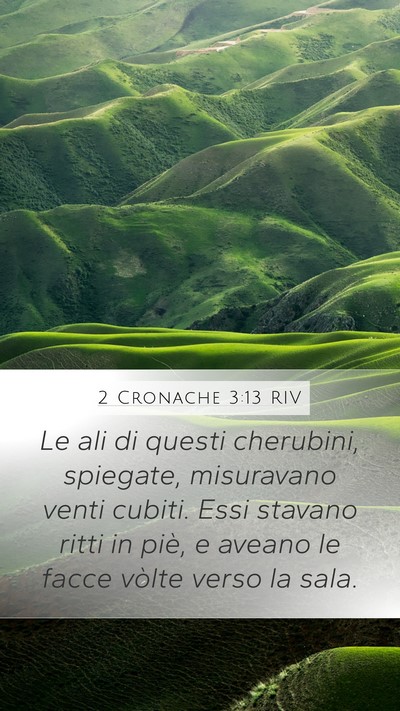 2 Cronache 3:13 RIV Mobile Phone Wallpaper - Le ali di questi cherubini, spiegate, misuravano - Mobile Bible Verse Wallpaper