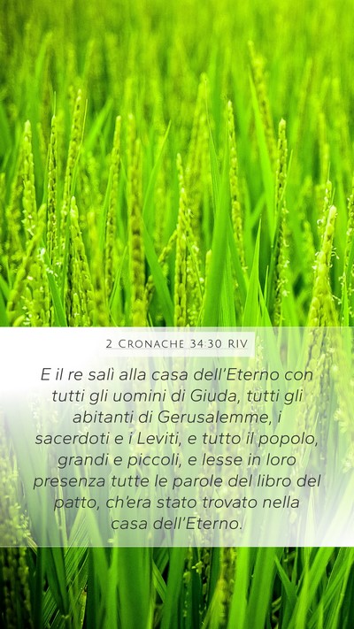 2 Cronache 34:30 RIV Bible Verse Image