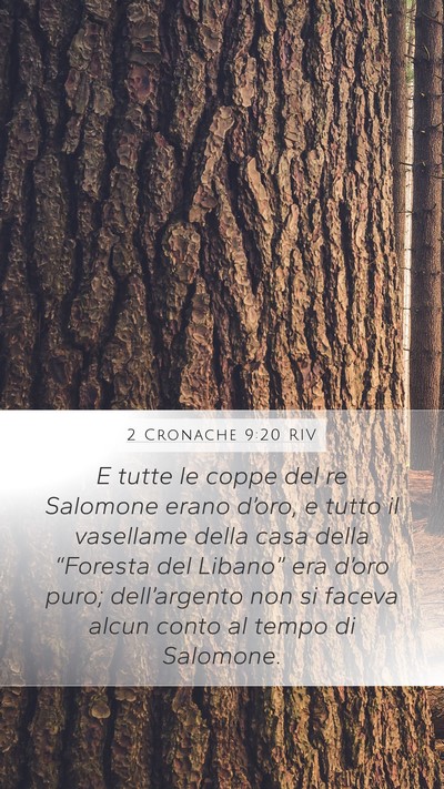 2 Cronache 9:20 RIV Bible Verse Image
