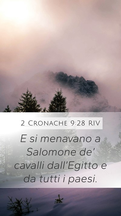 2 Cronache 9:28 RIV Bible Verse Image