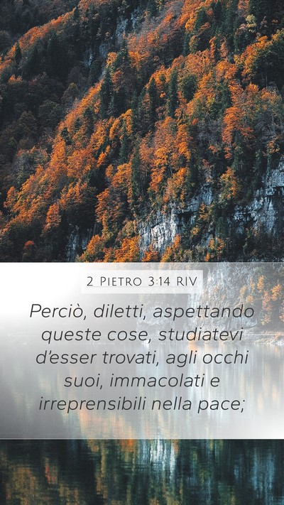 2 Pietro 3:14 RIV Bible Verse Image