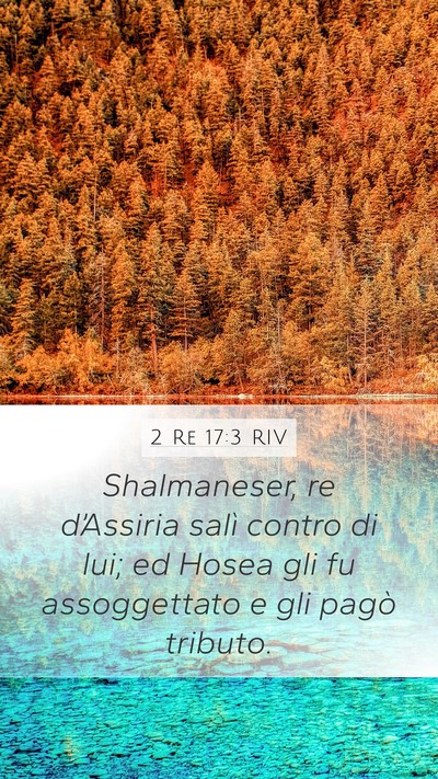 2 Re 17:3 RIV Bible Verse Image