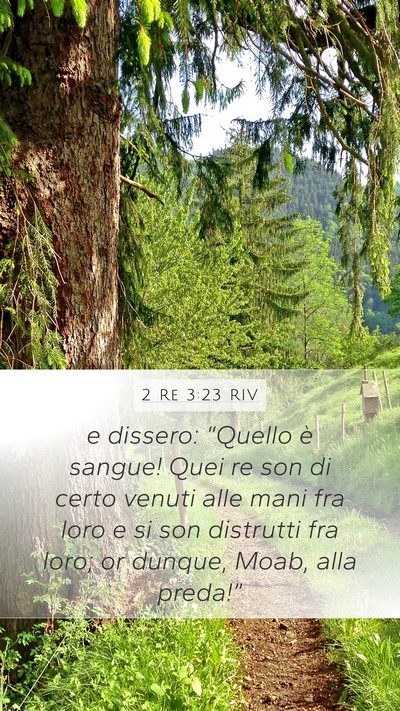 2 Re 3:23 RIV Mobile Phone Wallpaper - e dissero: “Quello è sangue! Quei re son di - Mobile Bible Verse Wallpaper