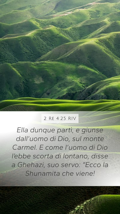 2 Re 4:25 RIV Bible Verse Image