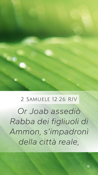 2 Samuele 12:26 RIV Mobile Phone Wallpaper - Or Joab assediò Rabba dei figliuoli di Ammon, - Mobile Bible Verse Wallpaper