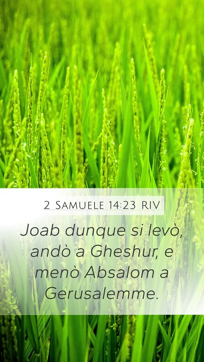 2 Samuele 14:23 RIV Bible Verse Image