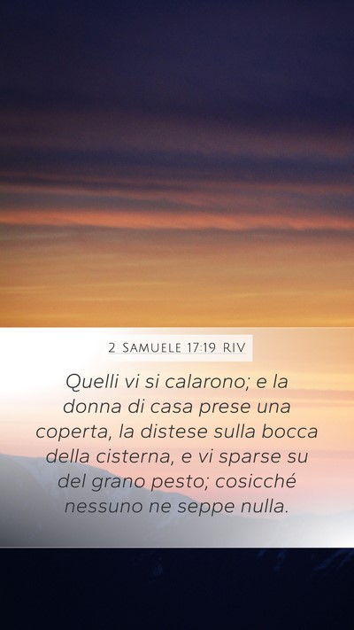 2 Samuele 17:19 RIV Bible Verse Image