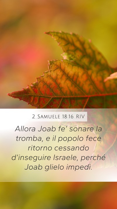 2 Samuele 18:16 RIV Bible Verse Image