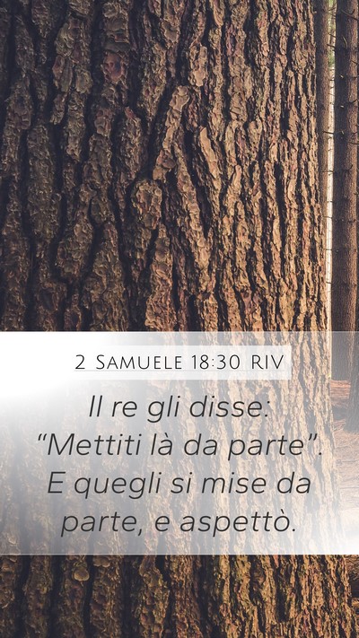 2 Samuele 18:30 RIV Mobile Phone Wallpaper - Il re gli disse: “Mettiti là da parte”. E - Mobile Bible Verse Wallpaper