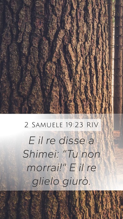 2 Samuele 19:23 RIV Mobile Phone Wallpaper - E il re disse a Shimei: “Tu non morrai!” E il - Mobile Bible Verse Wallpaper