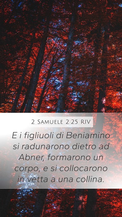 2 Samuele 2:25 RIV Mobile Phone Wallpaper - E i figliuoli di Beniamino si radunarono dietro - Mobile Bible Verse Wallpaper