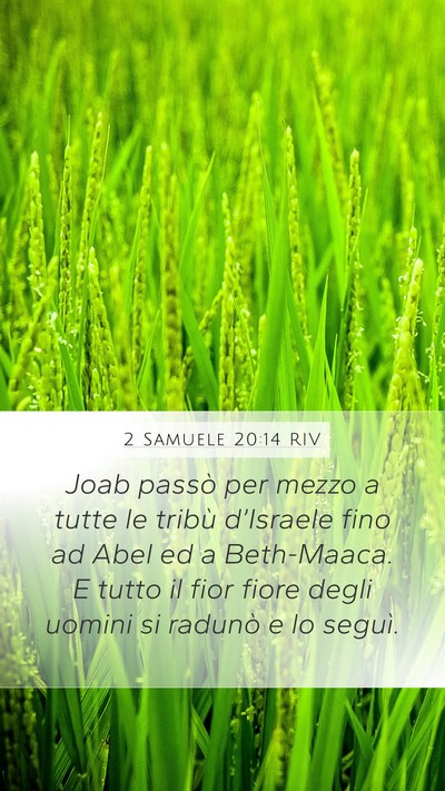 2 Samuele 20:14 RIV Bible Verse Image
