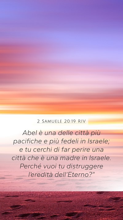 2 Samuele 20:19 RIV Bible Verse Image