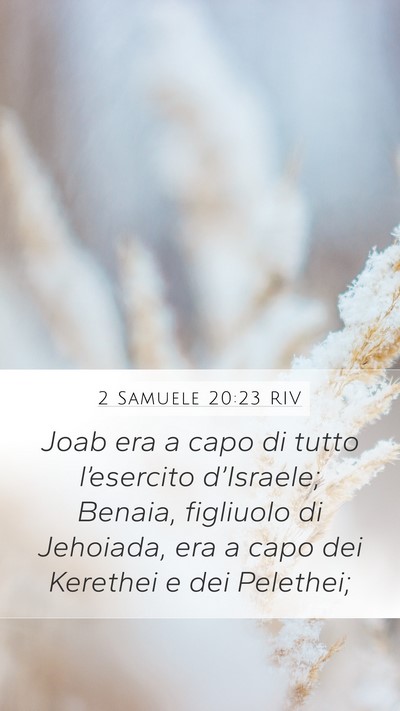 2 Samuele 20:23 RIV Bible Verse Image