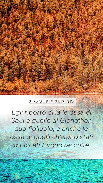 2 Samuele 21:13 RIV Mobile Phone Wallpaper - Egli riportò di là le ossa di Saul e quelle di - Mobile Bible Verse Wallpaper