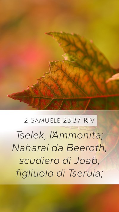 2 Samuele 23:37 RIV Bible Verse Image
