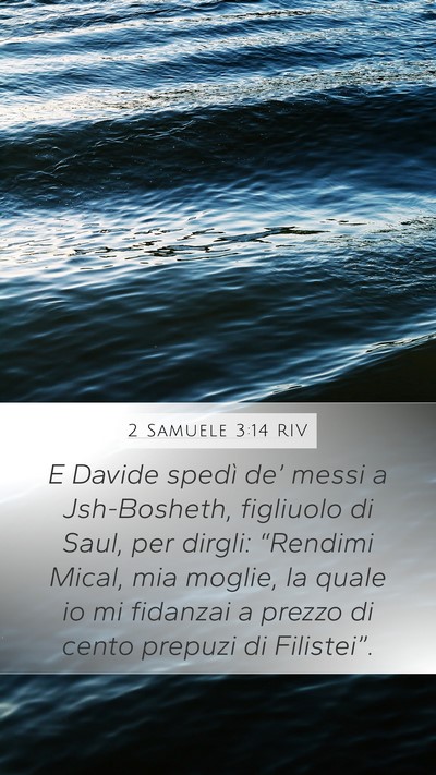 2 Samuele 3:14 RIV Bible Verse Image