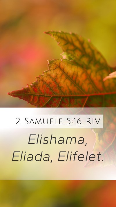 2 Samuele 5:16 RIV Mobile Phone Wallpaper - Elishama, Eliada, - Mobile Bible Verse Wallpaper