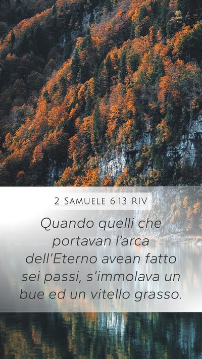 2 Samuele 6:13 RIV Bible Verse Image