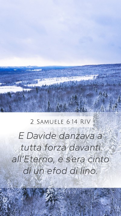 2 Samuele 6:14 RIV Bible Verse Image