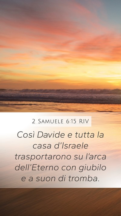 2 Samuele 6:15 RIV Bible Verse Image