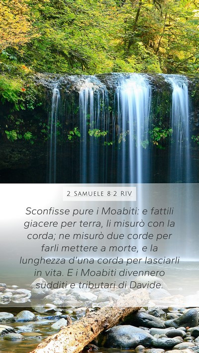 2 Samuele 8:2 RIV Bible Verse Image