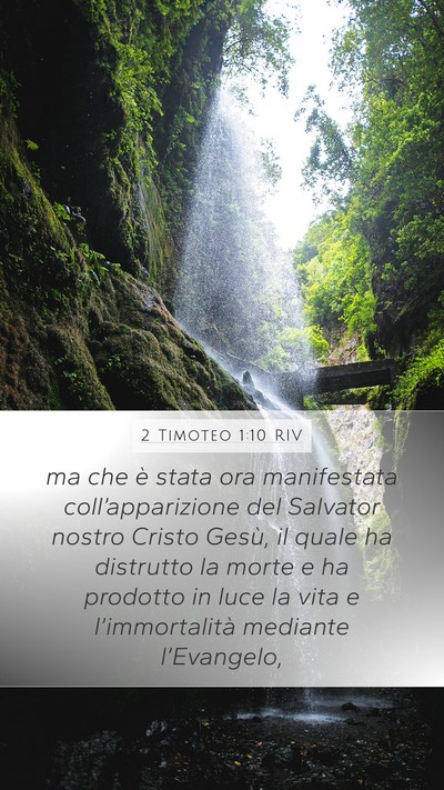 2 Timoteo 1:10 RIV Bible Verse Image