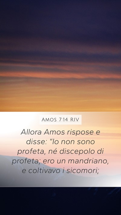 Amos 7:14 RIV Bible Verse Image