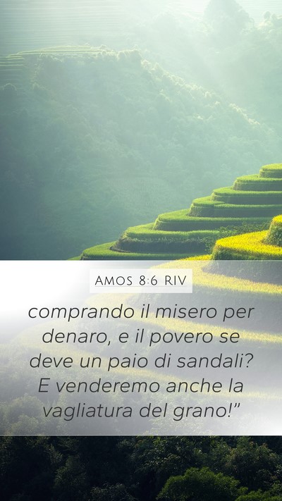 Amos 8:6 RIV Bible Verse Image