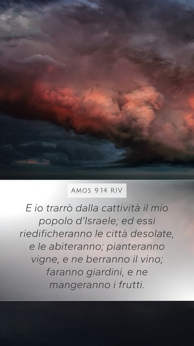 Amos 9:14 RIV Bible Verse Image