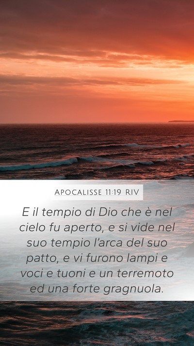 Apocalisse 11:19 RIV Bible Verse Image