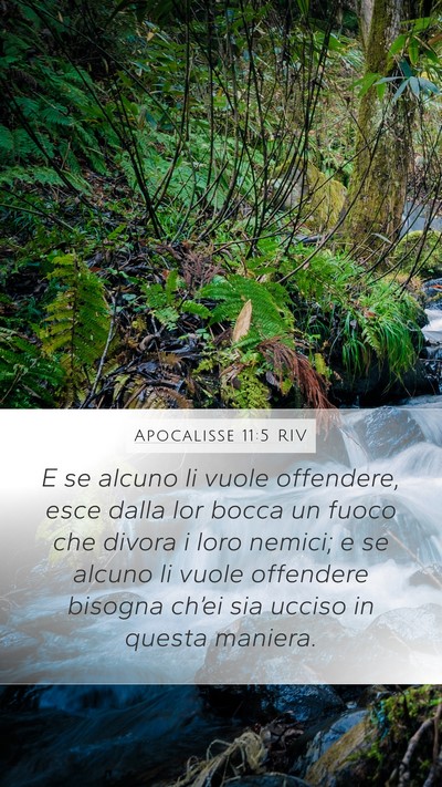Apocalisse 11:5 RIV Bible Verse Image
