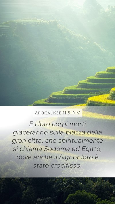 Apocalisse 11:8 RIV Bible Verse Image