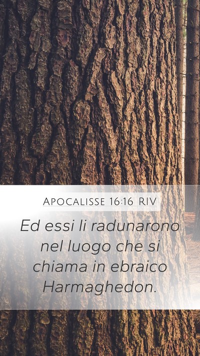 Apocalisse 16:16 RIV Bible Verse Image