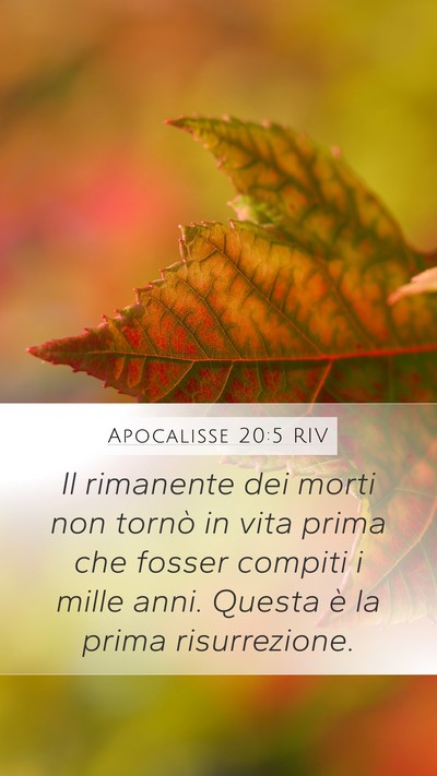 Apocalisse 20:5 RIV Bible Verse Image