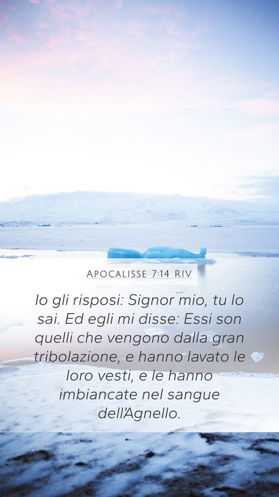 Apocalisse 7:14 RIV Bible Verse Image