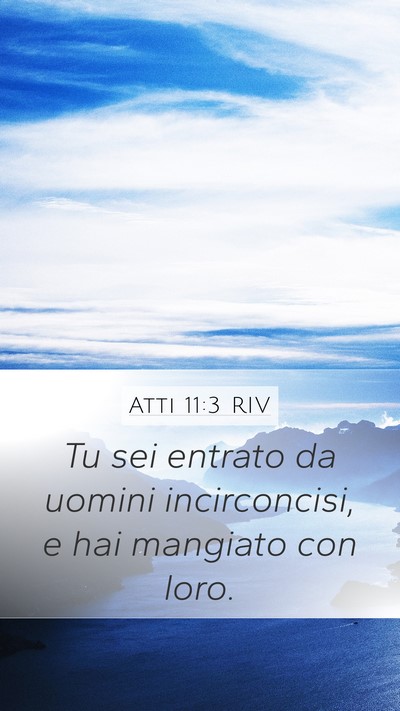 Atti 11:3 RIV Bible Verse Image