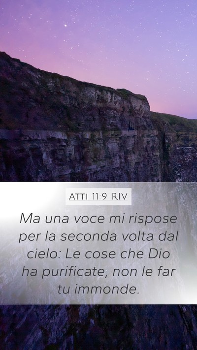 Atti 11:9 RIV Bible Verse Image