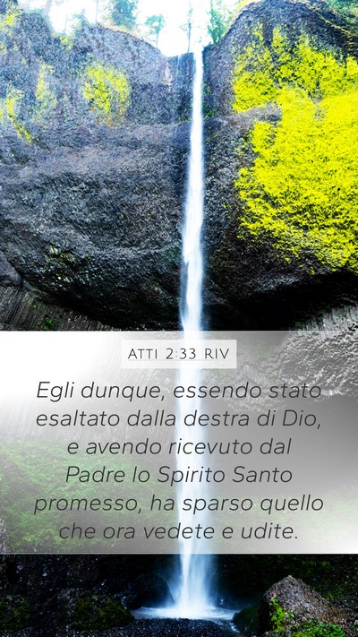 Atti 2:33 RIV Bible Verse Image