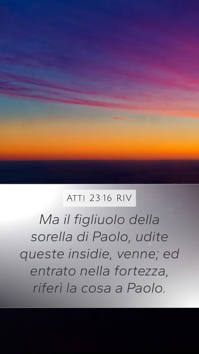 Atti 23:16 RIV Bible Verse Image