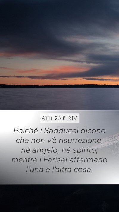Atti 23:8 RIV Bible Verse Image